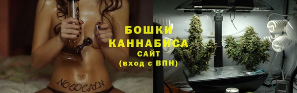 твердый Белокуриха