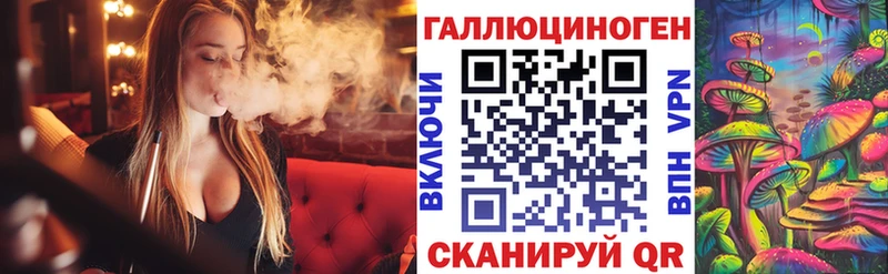 дарнет шоп  Будённовск  Псилоцибиновые грибы прущие грибы 